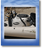 LiveWell Details