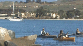 Hobie FISH THE WORLD - California