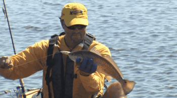 Hobie FISH THE WORLD - Louisiana