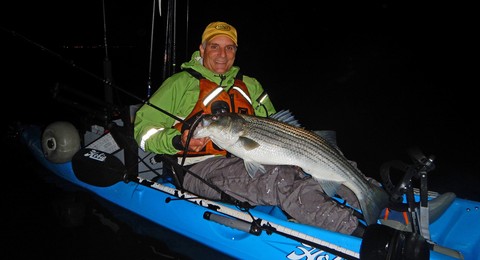 Article image - Big plastics for striped bass