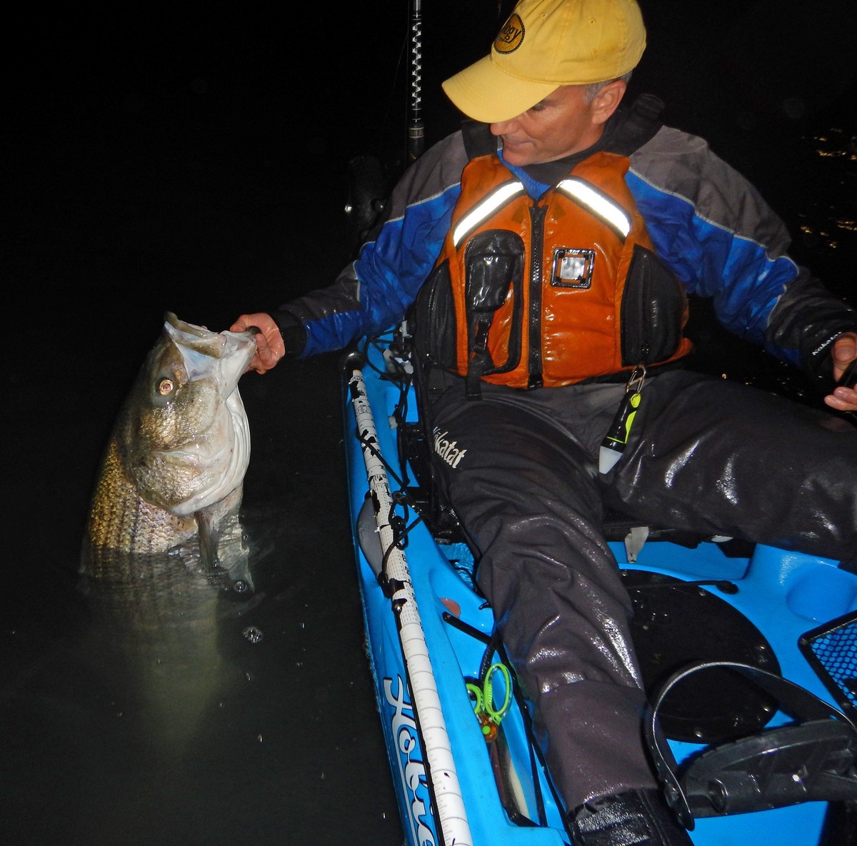 Article image - Big plastics for striped bass