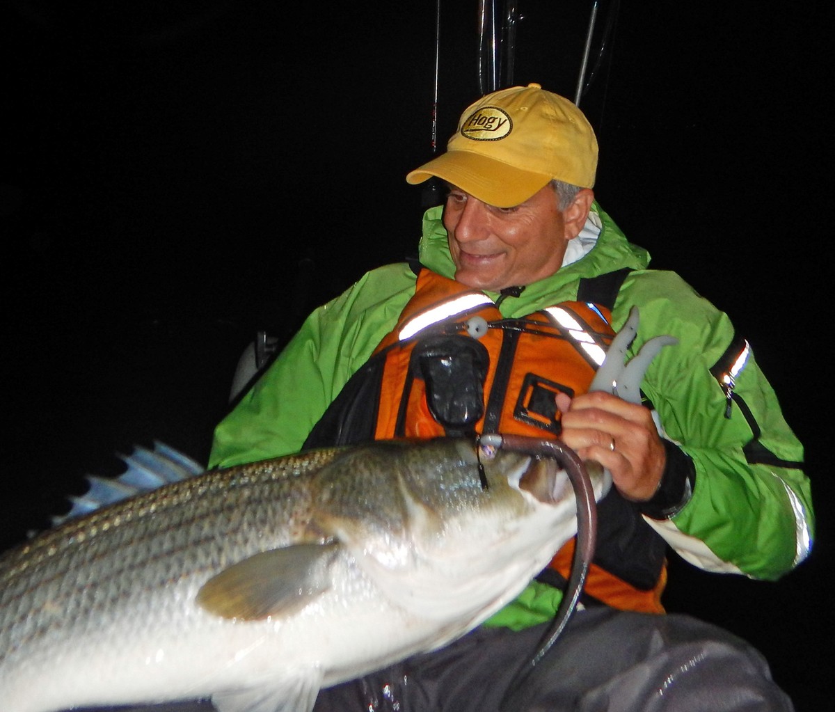 Article image - Big plastics for striped bass