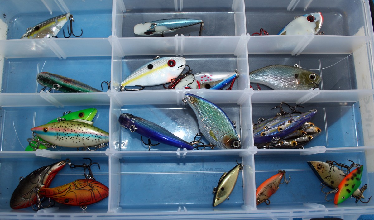 Article image - lipless crankbaits