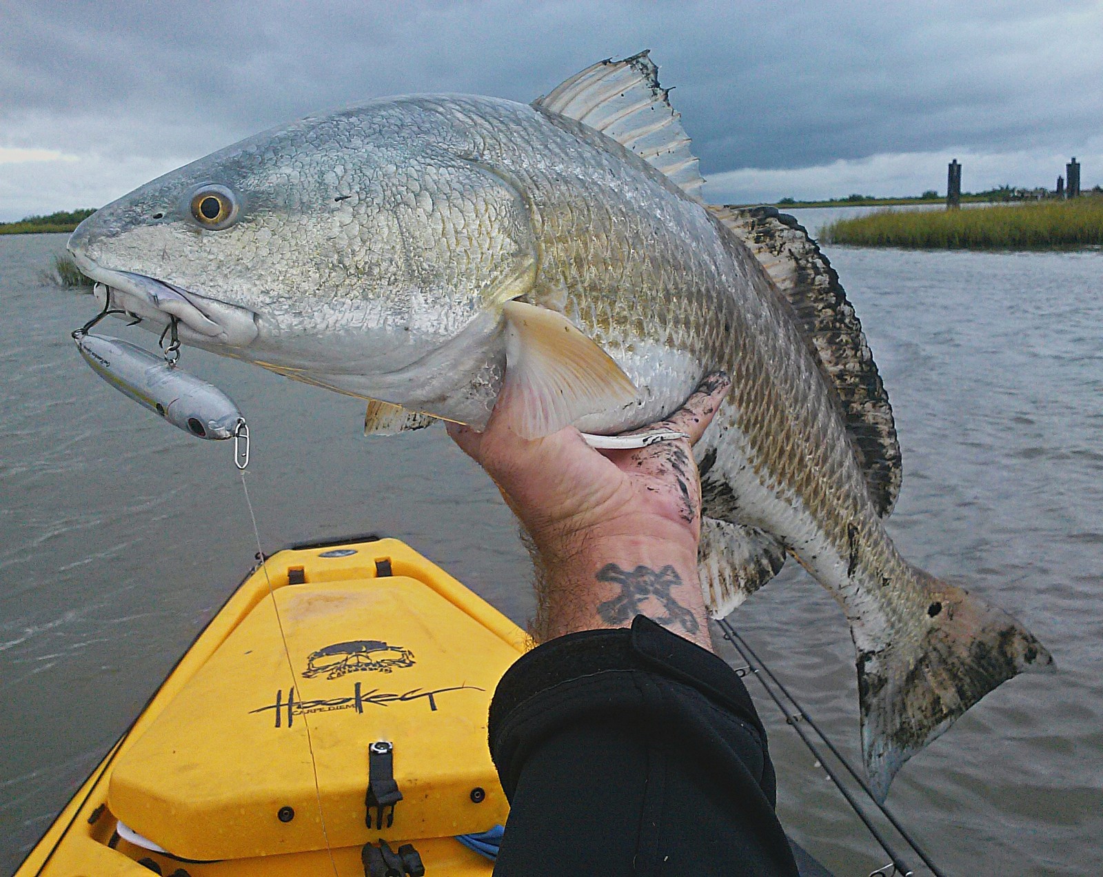 Red Storm: How a Pod of Shallow Water Redfish Rekindled my Love of ...
