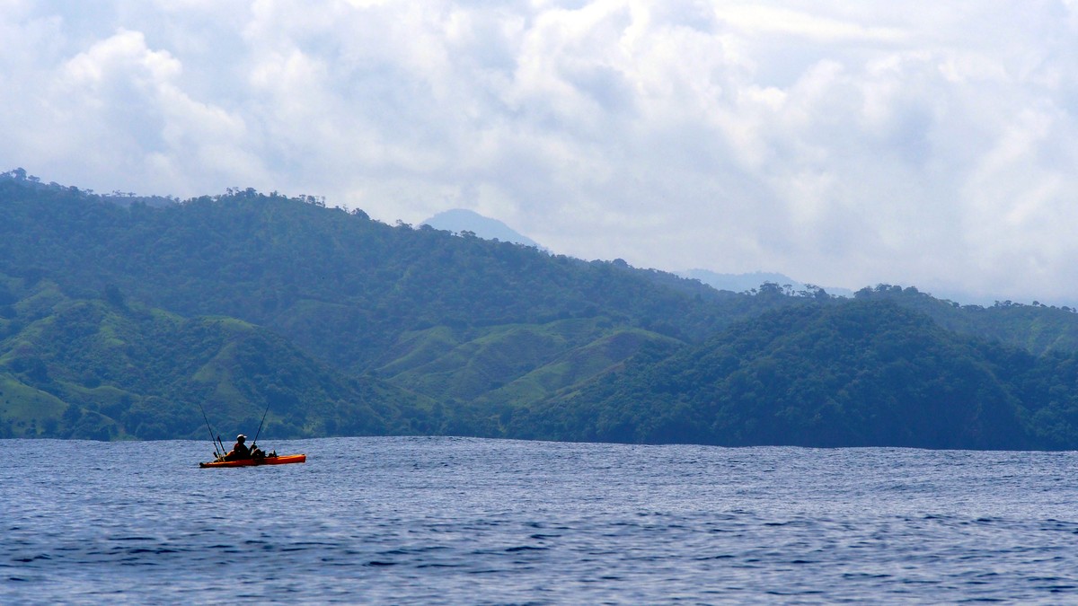 Article image - Popping Panama Yellowfin