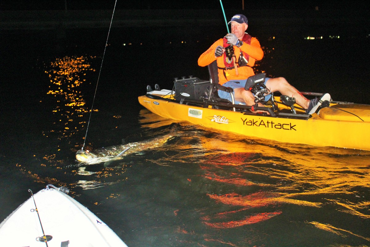 Article image - Stalking Panhandle Tarpon in the Dark