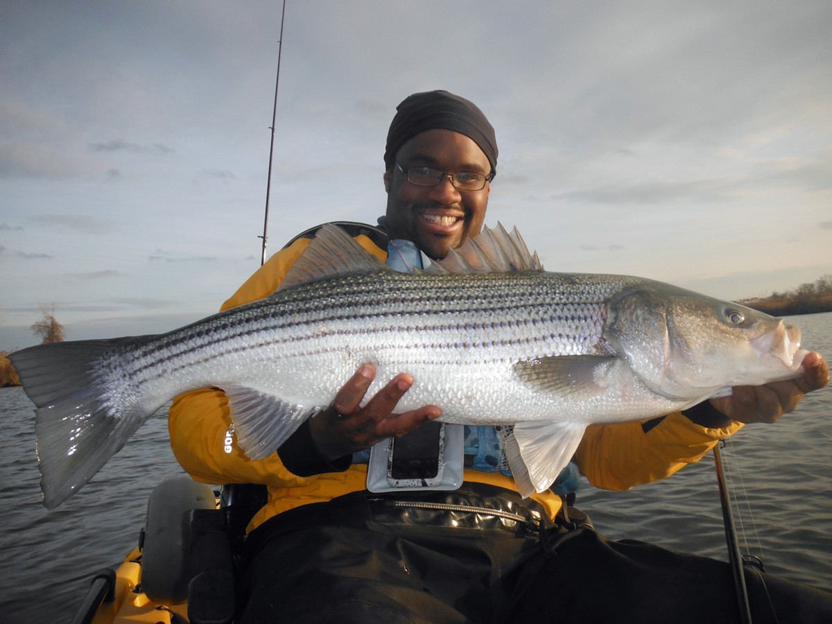 Article image - 2016 Top Gun Shawn Barham shows off a striper