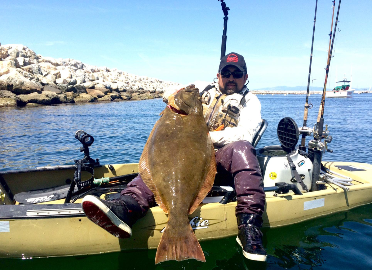 Sustainable Hook and Line Fishing, California Halibut, Santa Cruz. #ca